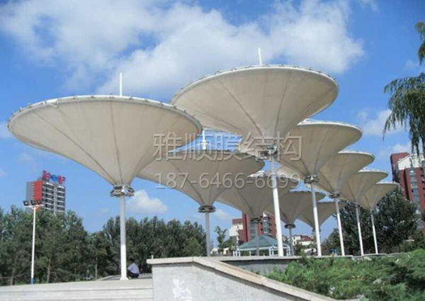 膜結(jié)構(gòu)景觀