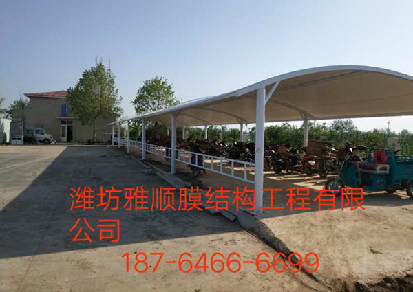 成功案例